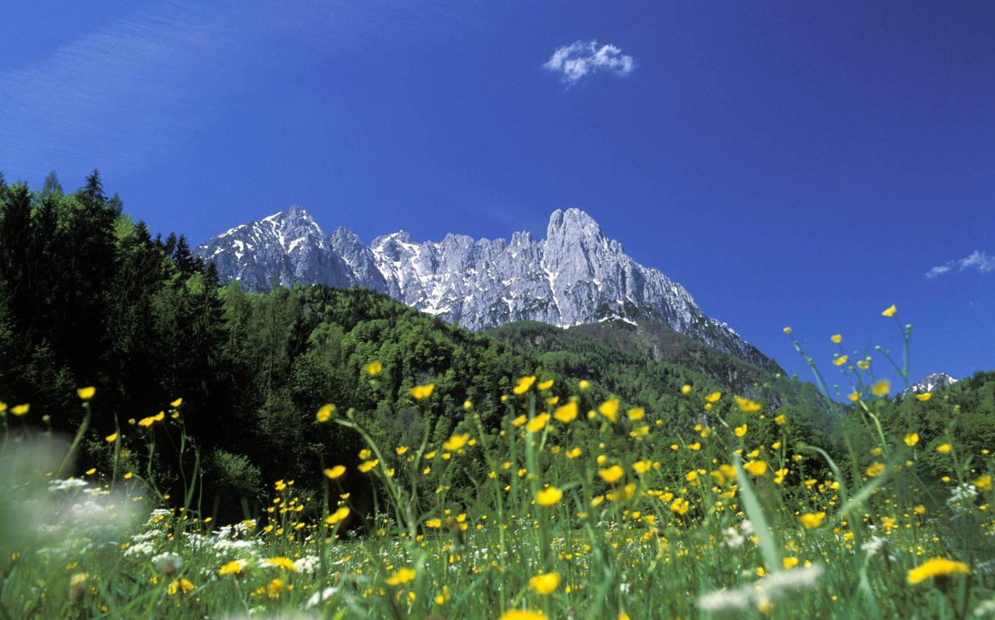 Landhaus Foidl Sankt Johann in Tirol Exteriér fotografie
